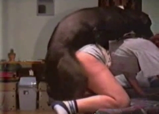 Black doggy hardly drills her tight snatch